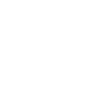 Nav - Navmeet Singh - Logo Small
