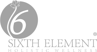 Sixth Element Logo Grey